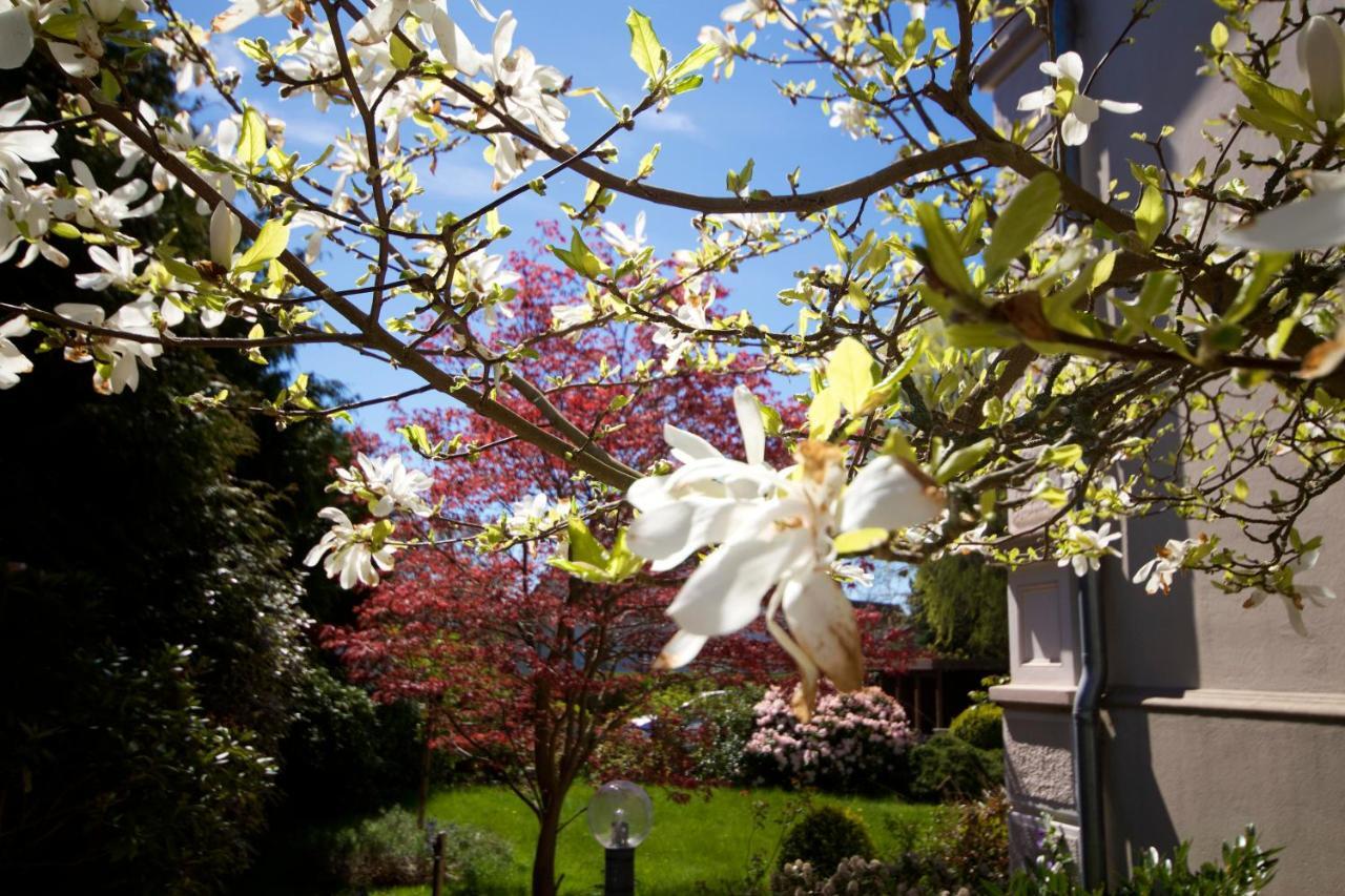 Villa Rosengarten 费马恩 外观 照片